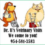 Dr B's Veterinary Visits